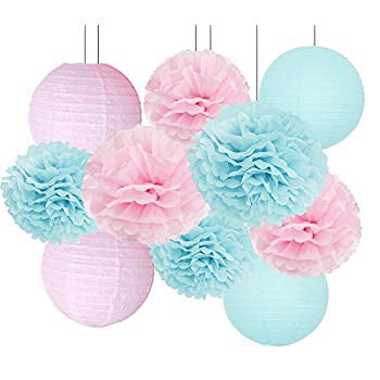 Gender Reveal Party Decorations Baby Shower Decorations Baby Blue Pink Tissue 
